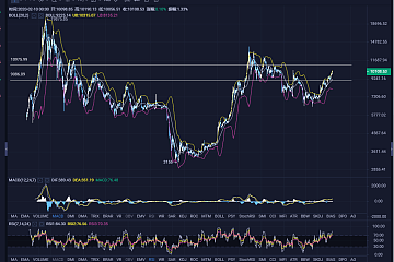 BTC重回10000美元，韭菜是否还有机会“上车”？