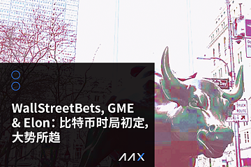 WSB, GME&Elon：比特币时局初定，大势所趋