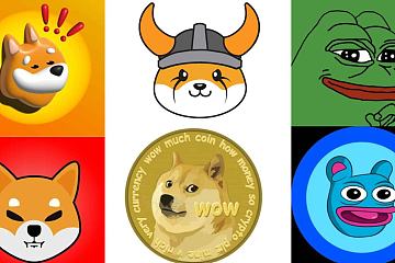 什么是Memecoin？它如何在加密货币世界崭露头角