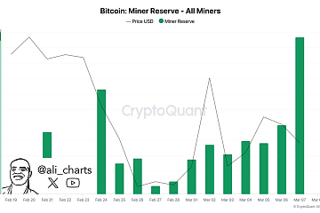 比特币矿工自2025年2月28日以来未出现抛售行为