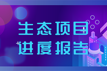 Conflux四月项目进度报告