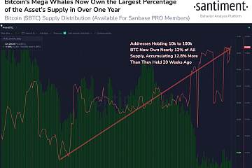 持有1万-10万枚的巨鲸地址拥有比特币总供应量的12%，为一年来高点