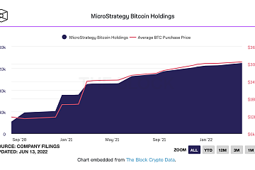 萨尔瓦多、MicroStrategy、特斯拉和Block的比特币投资未实现亏损扩大