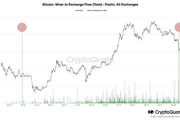 CryptoQuant CEO Ki Young Ju：Poolin矿工向币安转移5千枚比特币，约1.1亿美元