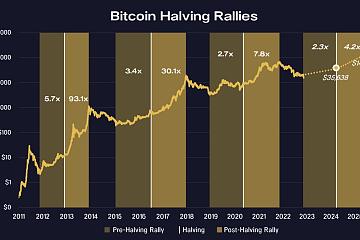 Pantera Capital：如果历史重演，比特币价格将在11月30日跌至底部