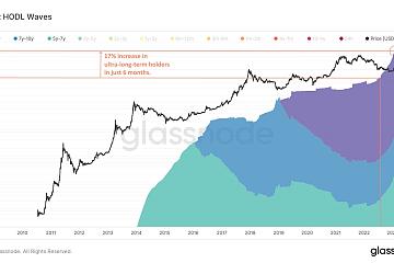 过去六个月超过5年的比特币未花费交易输出（UTXO）占比增加17%