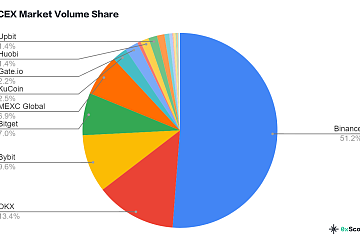 过去一年，币安的市场份额占比51.2%，OKX占比13.4%、Bybit占比9.6%、Bitget占比7%