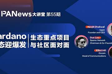 对话Cardano生态核心项目：Cardano生态会迎来爆发吗？