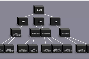 Flare Network与dWeb基金会达成合作关系