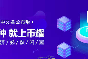 什么样的新兴交易所能够突出重围？BtLux推介