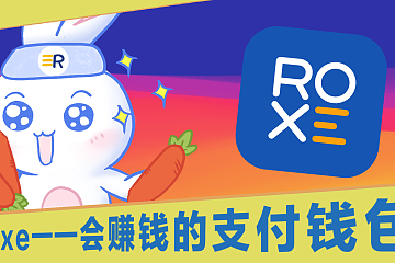 兔兔出国旅行记：国际支付及汇款的麻烦很大，用 Roxe APP 来搞定一下