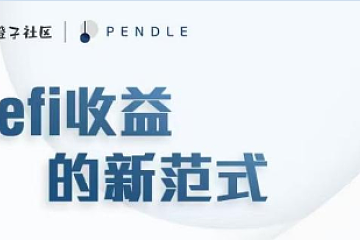 大橙子社区对话PENDLE CEO———Defi收益的新范式