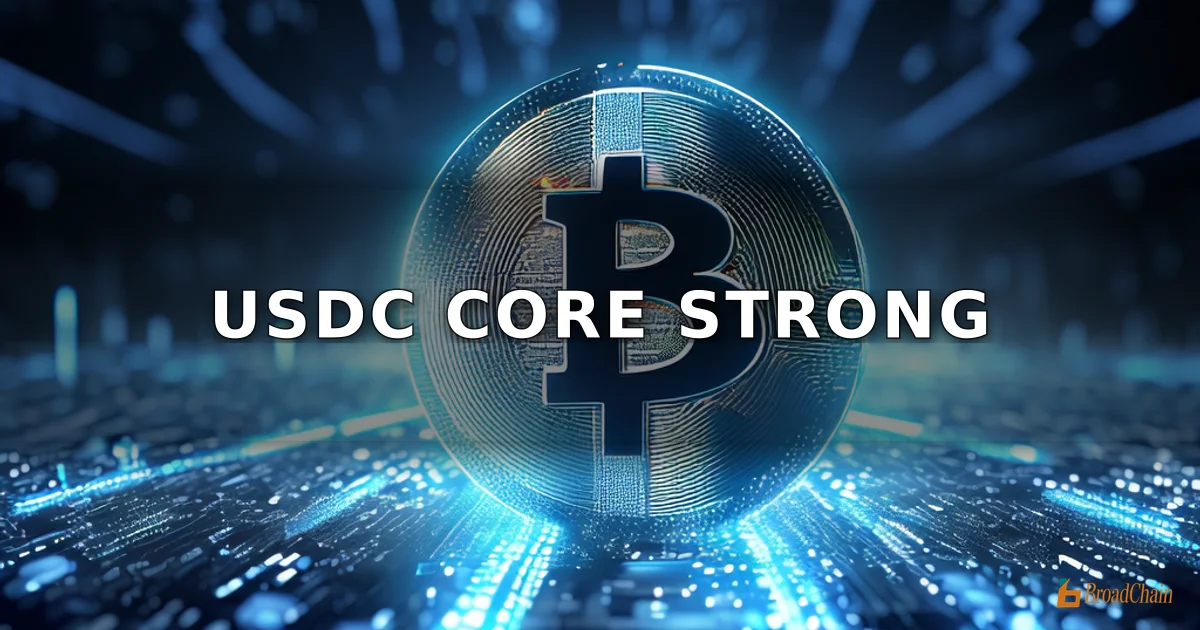 花旗银行：稳定币奖励限制或拖累USDC扩张，但不改Circle基本面