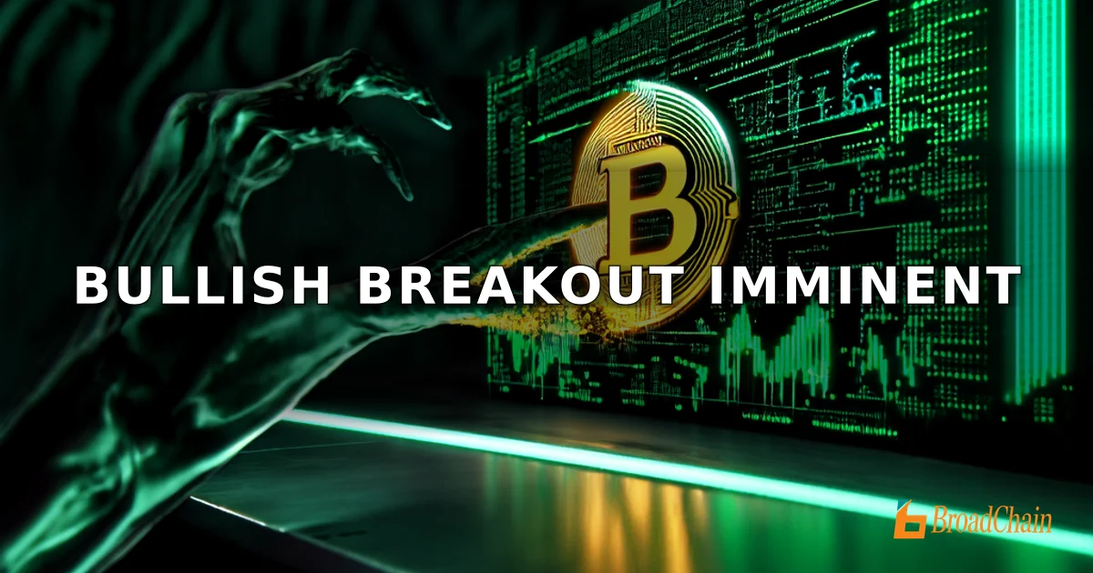 XRP交易员再发看涨信号，比特币或冲击9.66万美元