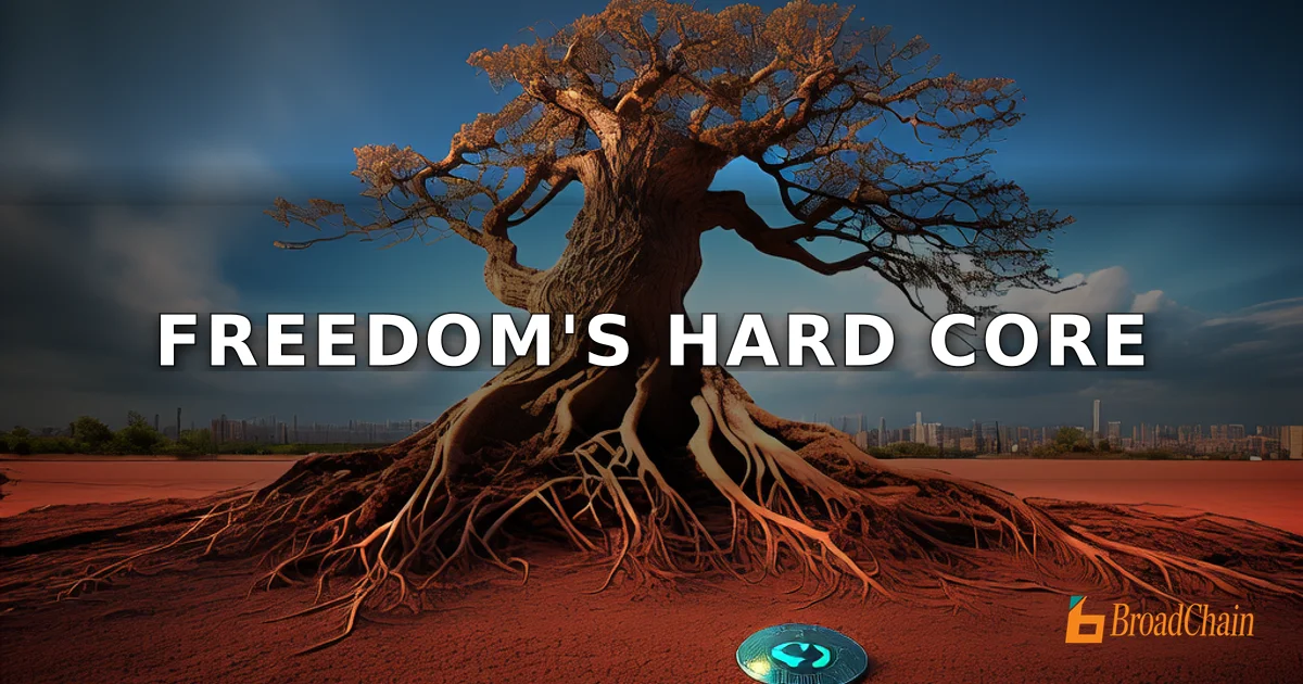 ViaBTC CEO 杨海坡：区块链是硬核自由主义实验，自由与代价并存