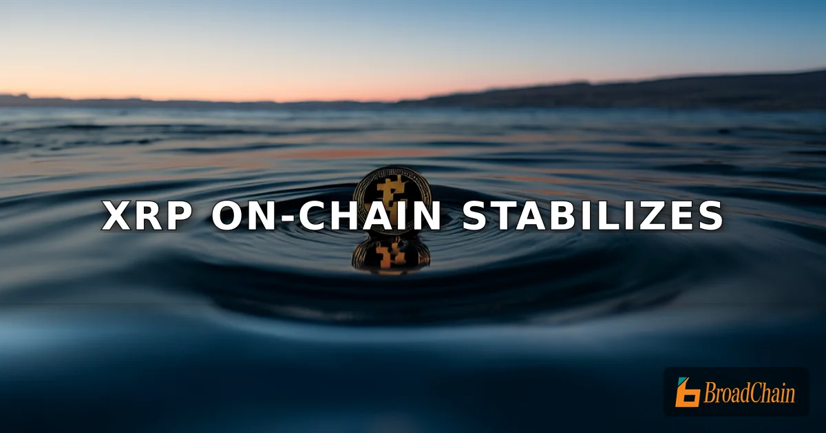 XRP链上数据释放企稳信号，价格仍低于持仓成本